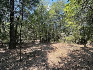 Danner Dr, Wilmer, AL 36587