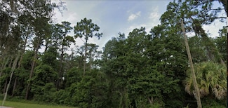 TBD SE 49th Street Rd, Ocklawaha, FL 32179