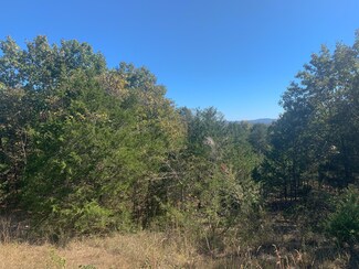 000 State Highway Nn, Big Creek Township, MO 65761