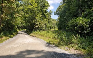 0 Bushy Head Rd Unit 407248, Cherry Log, GA 30522