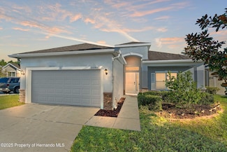 30745 Satinleaf Run, Brooksville, FL 34602