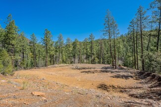 8 Rose Creek Ranch Unit 8, Young, AZ 85554