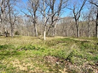 Lots 4&5 County Road 242-Loop, Wheatland, MO 65779