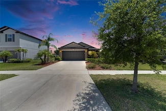 11707 Sunburst Marble Rd, Riverview, FL 33579