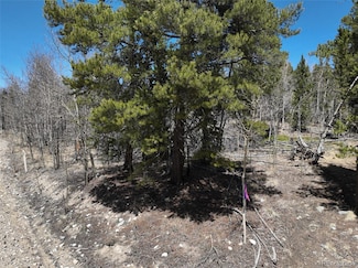 0 Beaver Ridge Rd Unit REC7955397, Fairplay, CO 80440