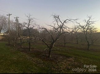 n/a Mid Allen Rd, Flat Rock, NC 28792