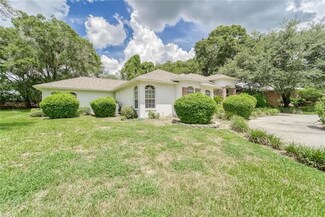 4702 Dover Cliff Ct, Dover, FL 33527