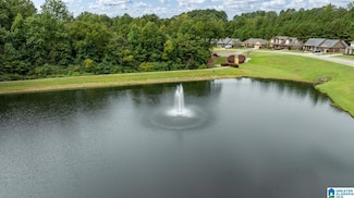 451 Chesser Plantation Ln, Chelsea, AL 35043