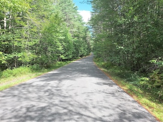 0 Steele Woods Rd Unit 206271, Lewis, NY 12950