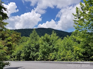 567 Blue Mist Way, Arden, NC 28704