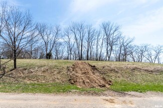 0 N Deer Bluffs Dr, Chillicothe, IL 61523