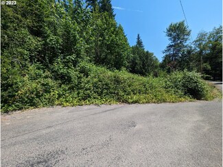 0 Olequa Ct Lots 15 40 Ct, Vader, WA 98593