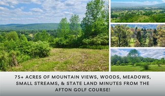 Lot 30 Algerine St, Afton, NY 13730