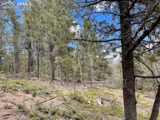 44 E Valley Dr, Woodland Park, CO 80863