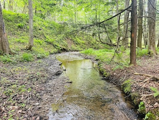 Dutch Mike Rd, Reynoldsville, PA 15851