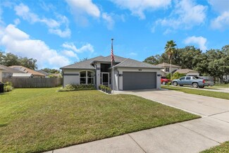 4806 Dunquin Place, Tampa, FL 33610