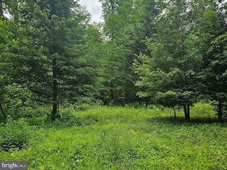 00 Pisgah Rest, Shermans Dale, PA 17090