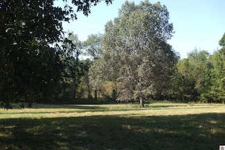 2960 Kaler Mil Rd, Symsonia, KY 42082