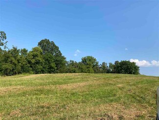 2435 Tomlin Rd, Unincorporated, TN 38068