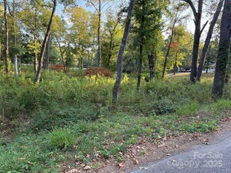 00 Whispering Pines Dr Unit 31, Catawba, SC 29704