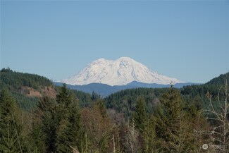1066 Salmon Creek Rd, Mossyrock, WA 98564