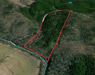 TBD Brewer Farm Rd, Mount Gilead, NC 27306