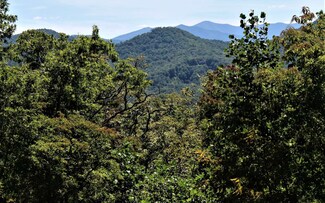 B&D W Cherry Rd, Hayesville, NC 28904