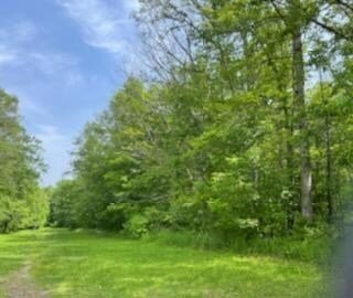 11 Acres 0 197th St, Cadott, WI 54727