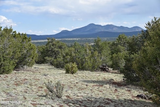 20202107c Honeysuckle Rd, Williams, AZ 86046