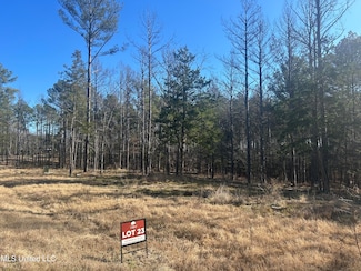 0 Springwood Trail Unit 4103023, Flora, MS 39071