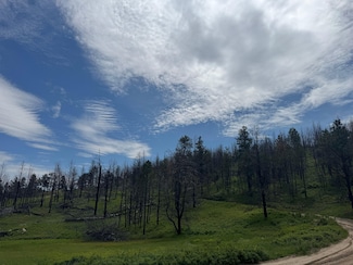 49 Bruner Mountain Rd, Roundup, MT 59072