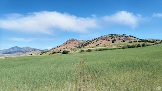16408 N Beaver Dam Rd, Beaverdam, UT 84306