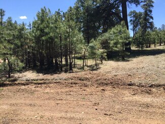 1054 Pond Cir Unit 892, Forest Lakes Estates, AZ 85931