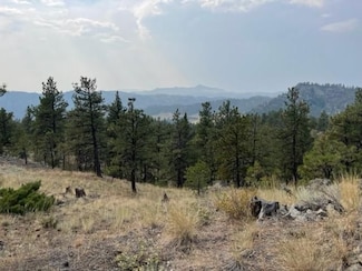 0 Mountain Home Ln Unit 16921312, Cascade, MT 59421