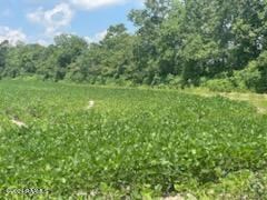 Tbd Acadiana Road at Airline Rd, Opelousas, LA 70570
