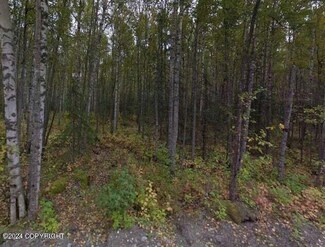 5196 W Lupine Ln, Knik-Fairview, AK 99654