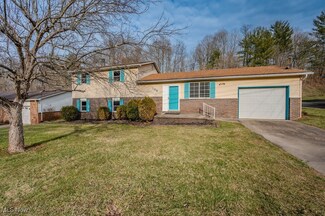 136 Suzanne St, Washington, WV 26181