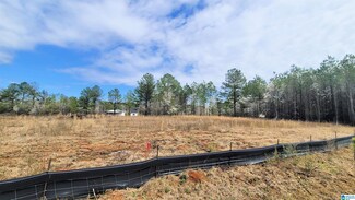 1035 Chancellors Ferry Loop Unit 27, Harpersville, AL 35078