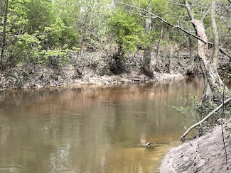 0 Stanford Lake Rd Unit 140592, Poplarville, MS 39470