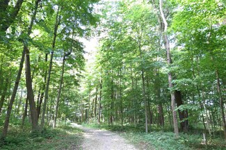 Lot 3 W 800 N, Rossville, IN 46065
