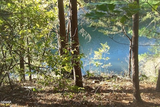 Lot 20 Scott St, Sevierville, TN 37876