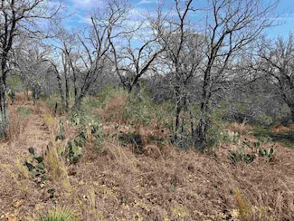 Lot 300-304 Link Pinemont Dr, Kingsland, TX 78639
