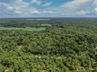 1770 NW 79th Dr, Jasper, FL 32052