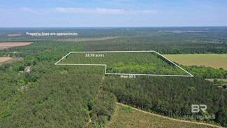 7400 Block S Highway 99, Walnut Hill, FL 32568