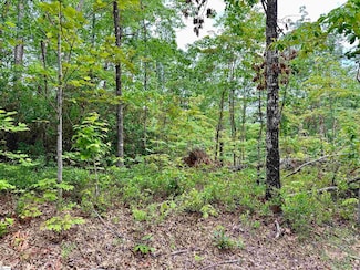 37 Danna View Ct, Marietta, SC 29661