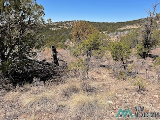 239 Anders Rd, Timberon, NM 88350