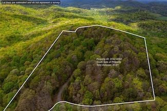 43.91 Old Burnt Mountain R0ad Rd, Ellijay, GA 30540