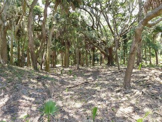 3410 Myrtle St, Edisto Beach, SC 29438