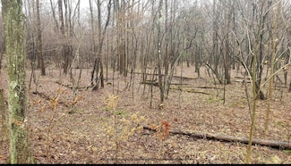 0 Demko Ln, Young Township, PA 15767