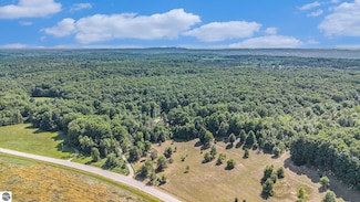 00 Valley Rd, Honor, MI 49640